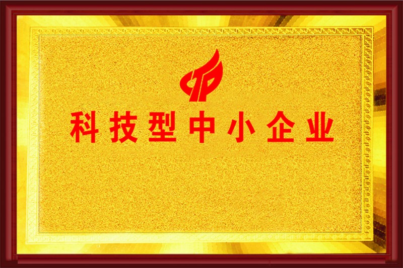 科技型中小企业 